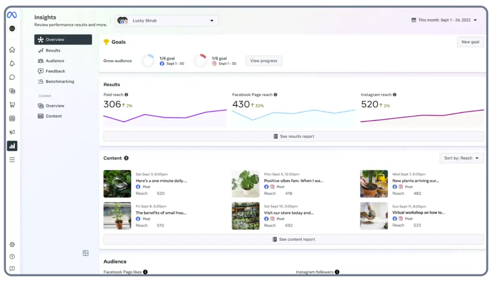Facebook and Instagram Ads Insights Dashboard